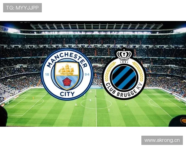 布鲁日数据分析